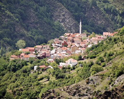 Türkiye?deki GARA?lılar; Balkanlar'da Gora problemi