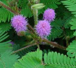 Depremi önceden bilmenin yolları