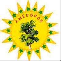 Amedspor resmen kuruldu