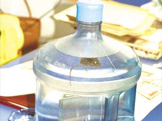 Damacanalardaki tehlike kanıtlandı