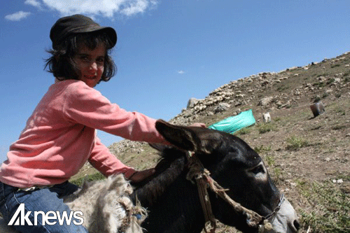 Yaylacı çocuklarının yaşamları belgesel oldu