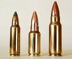 Valizden kanas mermisi çıktı