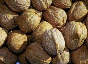 Ceviz en sağlıklı kabuklu yemiş