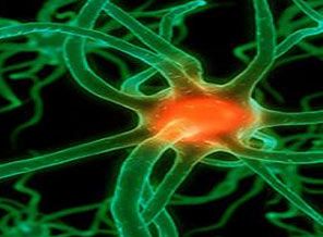 Yüzde yüz doğal kanser