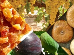 Bir çuval 'incir' böyle berbat edilir...