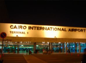 Mısır'da 'inek beyni' operasyonu