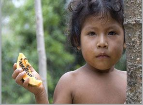 Peru'daki ilkel kabile öldürülüyor