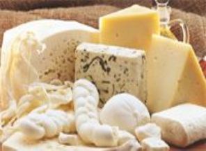 1 kg beyaz peynir ve kaşar için ne kadar süt kullanılıyor?