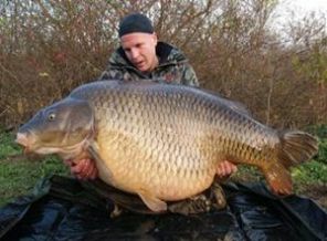 İstanbul'da 105 bin sazan salındı