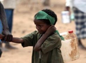 Dünyada 868 milyon aç var