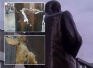 Cumhuriyet: Sultanbeyli'de Atatürk'e baltalı saldırı