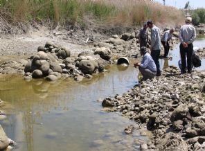 Sakarya Nehri kurudu, çiftçi endişeli
