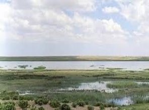 Eşmekaya Sazlığı bir zamanlar göldü, çöl oldu