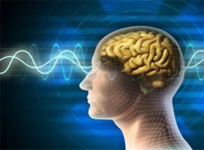 Beynimizin yüzde kaçını kullanıyoruz?