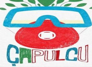 Çapulcular Partisi kuruluyor
