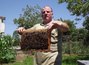 Samsun Arıcılar Birliği: Ucuz bal alayım derken sağlığınızdan olmayın