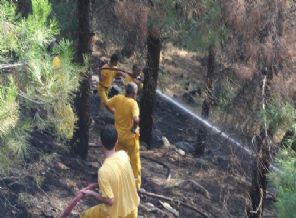 Tarihi kale etrafında yangın çıktı