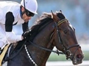 87. Gazi Koşusu'nda sürpriz zafer