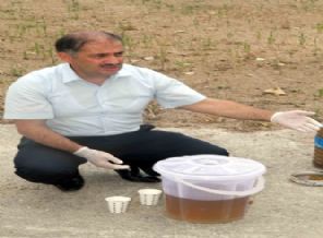 Sudaki bir larva 32 milyar sivrisinek oluyor