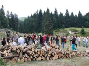 Bir ağaç eylemi de Uludağ'da