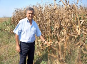 Bilici: TMO'nun fiyat politikasının devamlı olması lazım