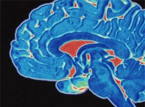 İnsan beyni kaç gigabyte?