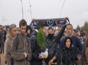 ODTÜ'lü öğrenciler CHP'li vekille boşaltılan alana fidan dikti