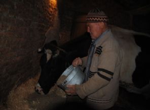 Besici, süt yeminde de fiyatın düşmesini bekliyor