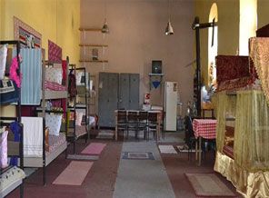 koguslarda yilan dehseti timeturk haber