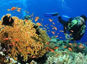 Okyanuslardaki büyük tehlike