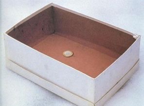 'Ayakkabı kutusundaki 4.5 milyon dolar' Twitter'da