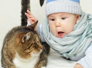 Kedi ile insanın dostluğu ne zaman başladı?