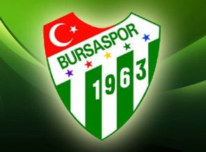 Bursaspor'da Daum gitti