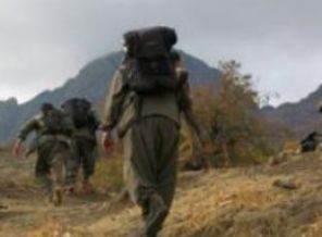Elazığ'da jandarma timine taciz ateşi