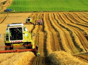 Çözüm süreci Doğu'da yüzleri güldürdü
