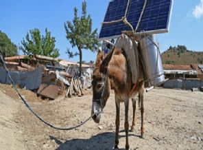 Eşek sırtında güneş enerjisi!