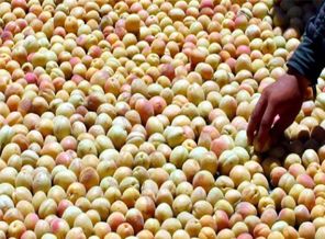 Memurun 10-20 yılda kazandığını 1 yılda kazanacak