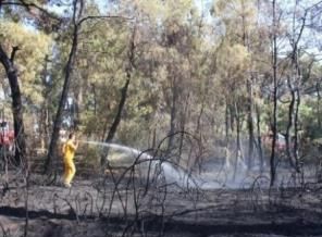 7 hektar ormanlık alan kül oldu