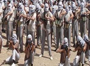 Nakşibendi Ordusu, IŞİD'e savaş ilan etti