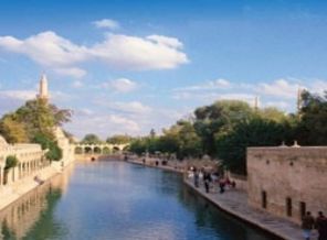 'Peygamberler Şehri'nde mukabele geleneği