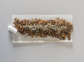 Uyuşturucu kullanımı alkolü 10'a katladı