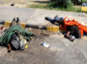 53 Ceset yol kenarında bulundu!