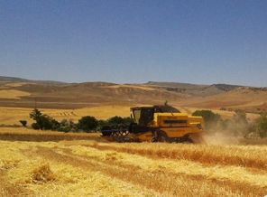 Akıllara durgunluk veren hırsızlık!