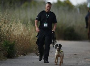 Arama köpeğinin şaşırtan başarısı