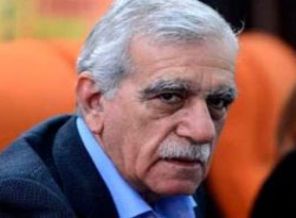 Türk: Genç olsam silahımı alıp savaşırdım