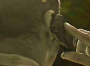 O polisler açığa alındı