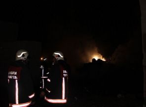 Nallıhan'da orman yangını