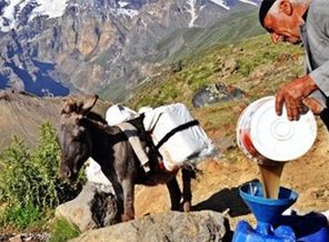 Çamurlu suyu dinlendirip içiyorlar