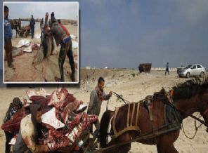 Gazze sahilleri balıkla doldu!