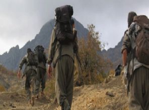 Bir PKK'lı daha teslim oldu